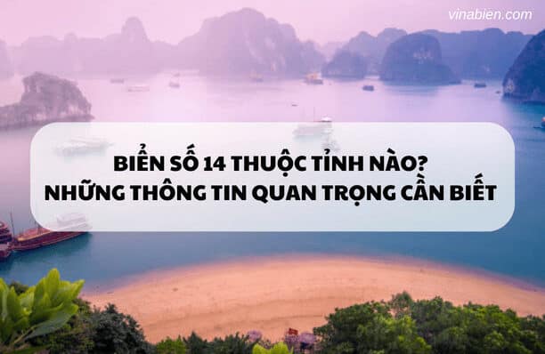 Biển số 14 thuộc tỉnh nào? Những thông tin quan trọng cần biết và chọn biển số đẹp