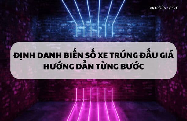 Định danh biển số xe trúng đấu giá: Hướng dẫn từng bước