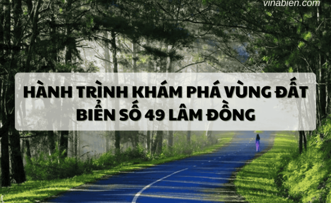 bien so 49 phong thuy dep