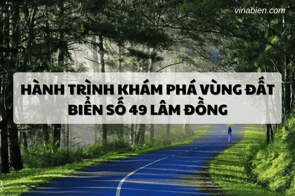 bien so 49 phong thuy dep