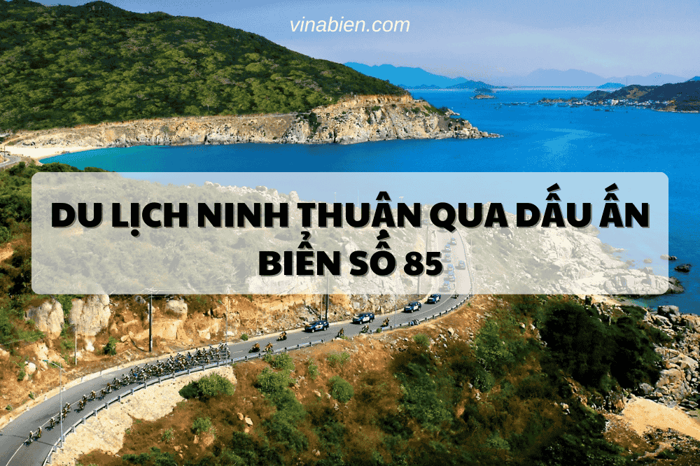 Du Lịch Ninh Thuận Qua Dấu Ấn Biển Số 85