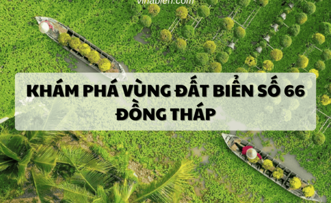 chon bien so xe dong thap dep