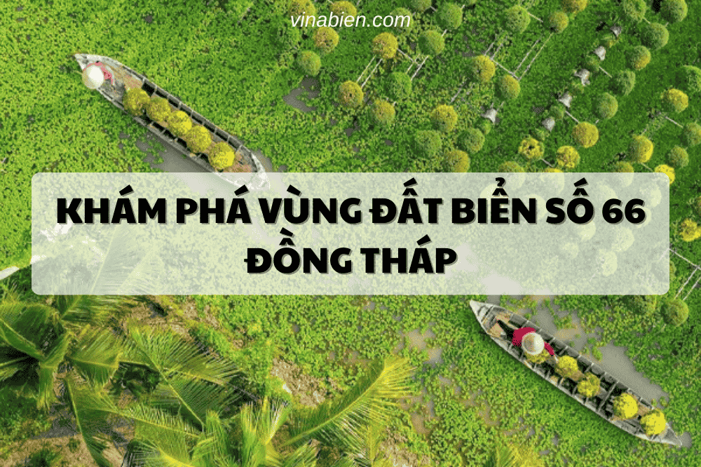 Khám Phá Vùng Đất Biển Số 66 Đồng Tháp