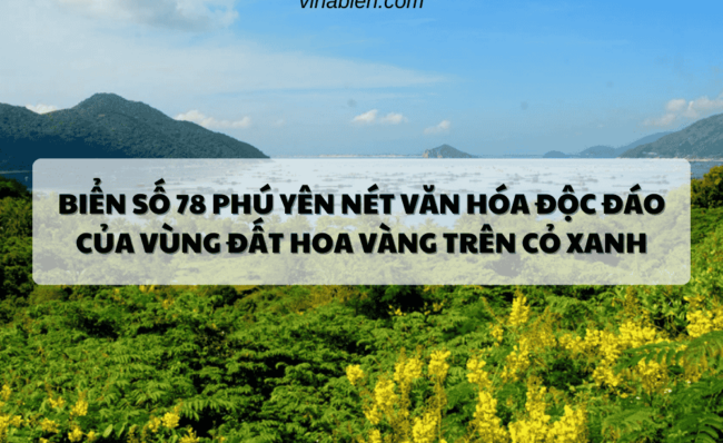 Biển Số 78 Phú Yên Nét Văn Hóa Độc Đáo Của Vùng Đất Hoa Vàng Trên Cỏ Xanh